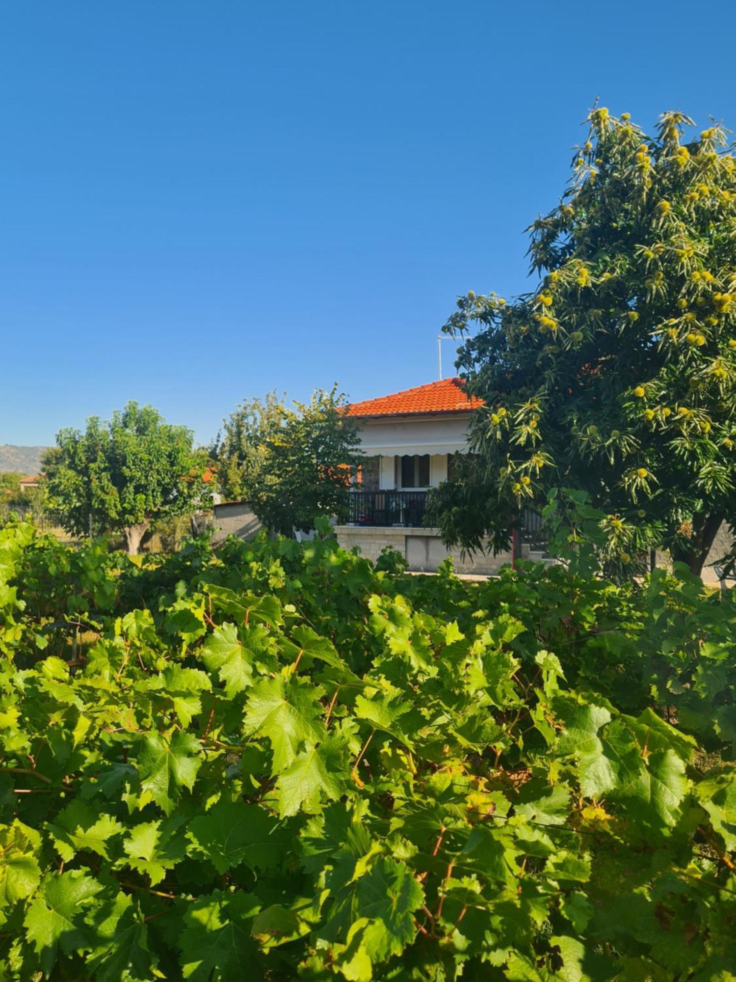 Villa Anna Paleókasztro Kültér fotó
